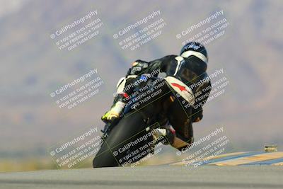 media/Jan-13-2024-SoCal Trackdays (Sat) [[9c032fe5aa]]/Turn 9 Backside (110pm)/